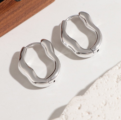 Wholesale 18K Gold-Plated Stainless Steel Polished Unique-Shaped Earrings-HS25 - 图片 3