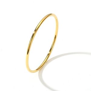 Wholesale 316L Stainless Steel Round Wire Plain Bracelets for Women-HS76