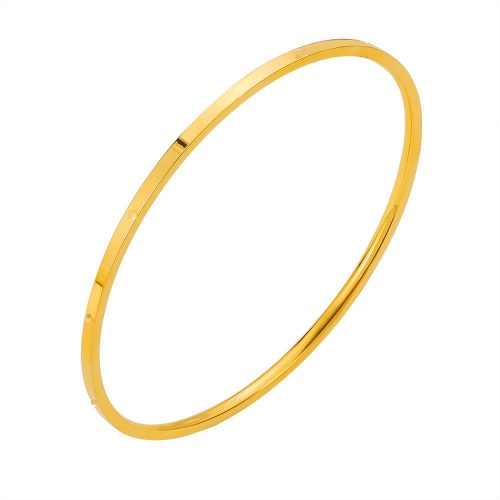 Wholesale 316L Stainless Steel Plain Round Bracelet for Women-HS77