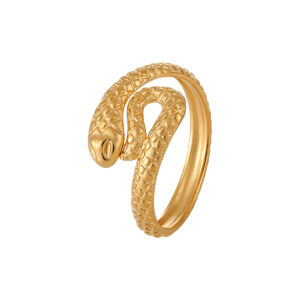 Stainless Steel Serpentine Ring-RH48