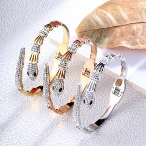 Stainless Steel Snake-Bone Bracelet-CX51